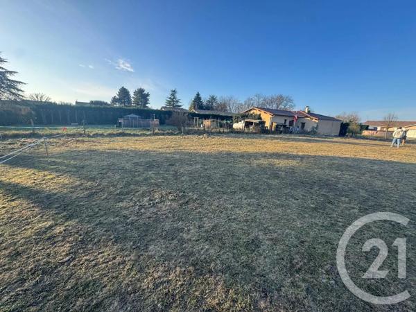 Terrain à vendre  1593 m 2   ST DIDIER SUR BEAUJEU  - 69