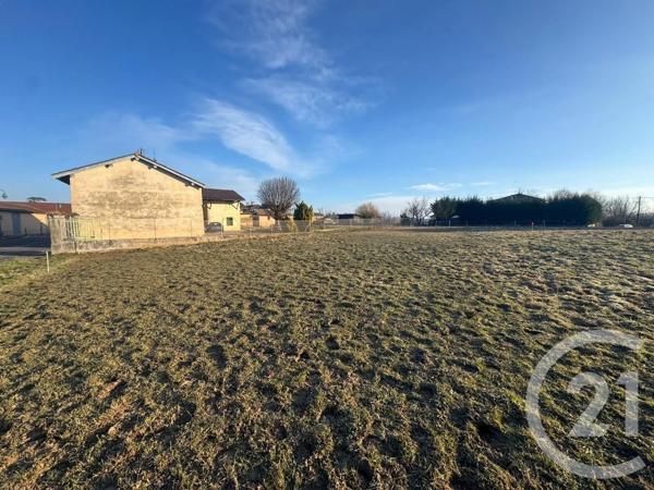 Terrain à vendre  1593 m 2   ST DIDIER SUR BEAUJEU  - 69