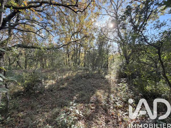 Terrain à vendre 1 753 m² Saint-Hippolyte-du-Fort