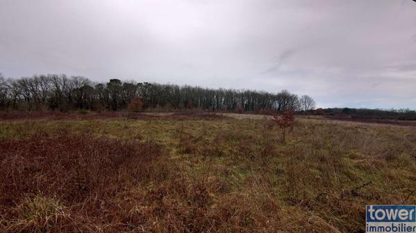 MAISON DE MAITRE 200 m2 ET SA GRANGE EN PIERRE à restaurer sur terrain 4.85 HA BASSE VALLE DU LOT 46700