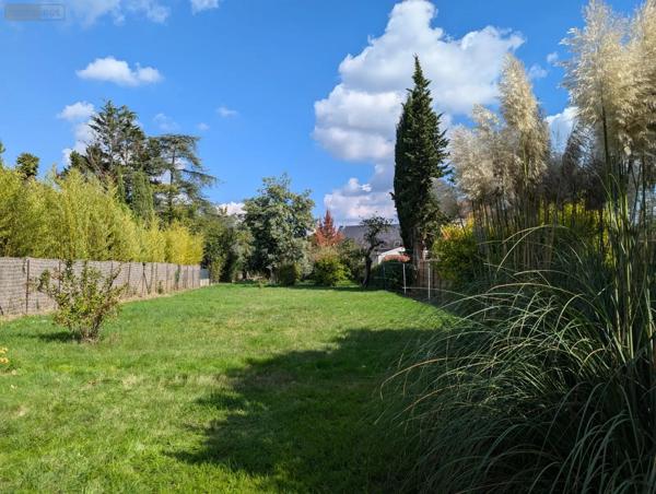 Achat - Maison Saint-Avertin 37550 5 pièces 125 m 2 1134 m 2