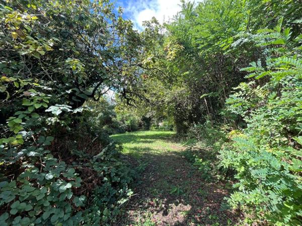 Maison 3 chambres secteur Brou, sur 1800m² de Terrain