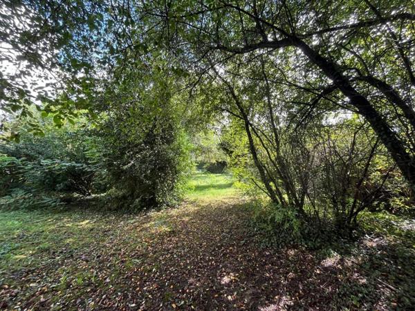 Maison 3 chambres secteur Brou, sur 1800m² de Terrain