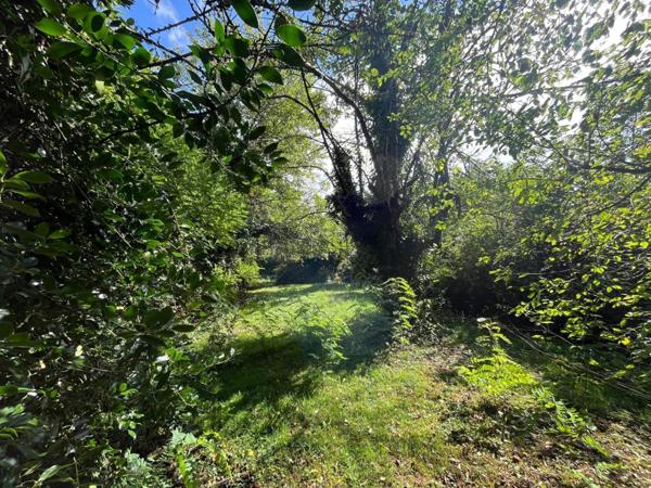 Maison 3 chambres secteur Brou, sur 1800m² de Terrain