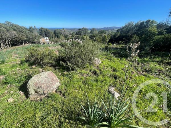 Maison à vendre  6 pièces - 262 m2 PORTO VECCHIO - 201