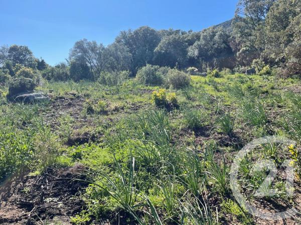 Maison à vendre  6 pièces - 262 m2 PORTO VECCHIO - 201