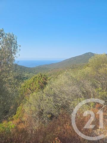 Terrain à vendre  45178 m2 COTI CHIAVARI - 201