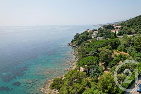 Maison à vendre  8 pièces - 248,30 m2 SAN MARTINO DI LOTA - 202