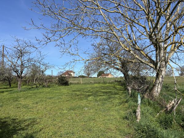 Deneuille-les-Mines – Maison de village de caractère avec un terrain de 17 060 m² et une grande grange Deneuille-les-Mines (03170)