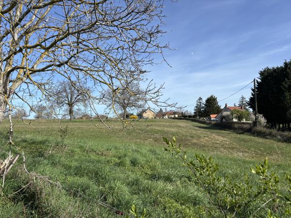 Deneuille-les-Mines – Maison de village de caractère avec un terrain de 17 060 m² et une grande grange Deneuille-les-Mines (03170)