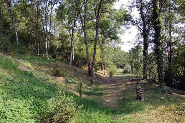 Propriété /gîtes/ chambre d'hôtes et grand terrain à St Sernin du Plain