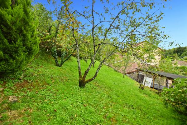 Propriété /gîtes/ chambre d'hôtes et grand terrain à St Sernin du Plain