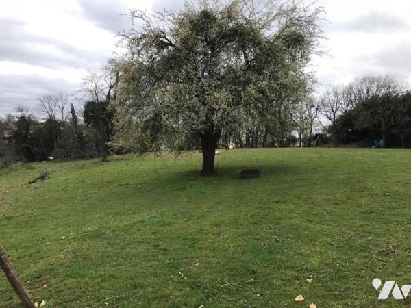 Terrain à bâtir viabilisé de 4 230 m²