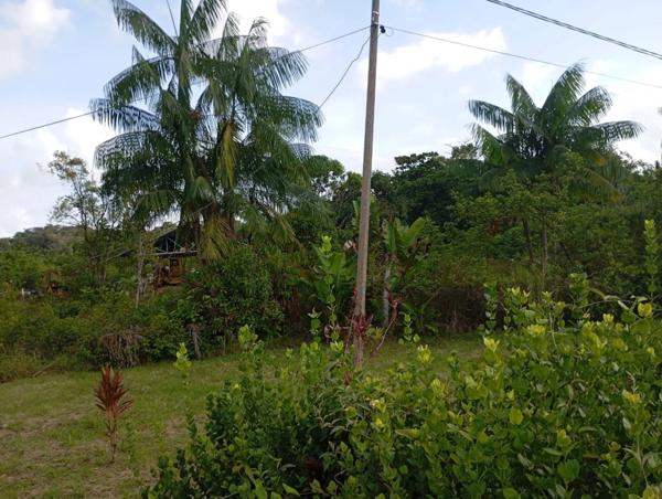 Terrain à vendre de 10 000,00 Ha MATOURY (973)