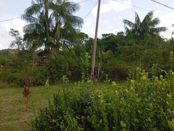 Terrain à vendre de 10 000,00 Ha MATOURY (973)