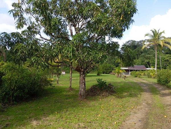 Terrain à vendre de 10 000,00 Ha MATOURY (973)