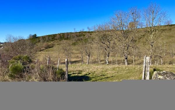 Vente Terrain Constructible Rieutort-de-randon   