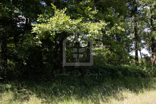 Terrain Constructible de 2300 m²  Certificat d'Urbanisme Opérationnel Obtenu  À 15 min de Sarlat