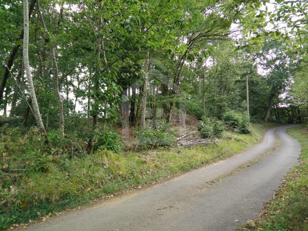 Terrain Constructible de 2300 m²  Certificat d'Urbanisme Opérationnel Obtenu  À 15 min de Sarlat