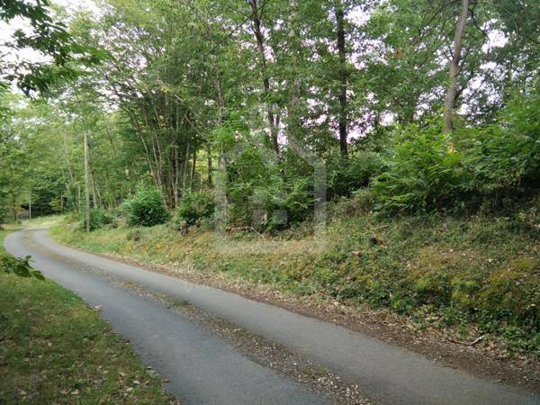 Terrain Constructible de 2300 m²  Certificat d'Urbanisme Opérationnel Obtenu  À 15 min de Sarlat