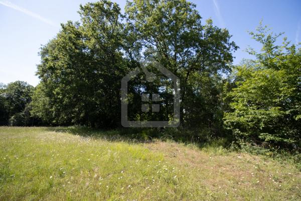 Terrain Constructible de 2300 m²  Certificat d'Urbanisme Opérationnel Obtenu  À 15 min de Sarlat