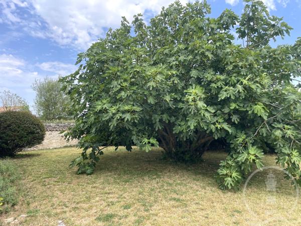 Maison familiale avec grand jardin et fort potentiel
