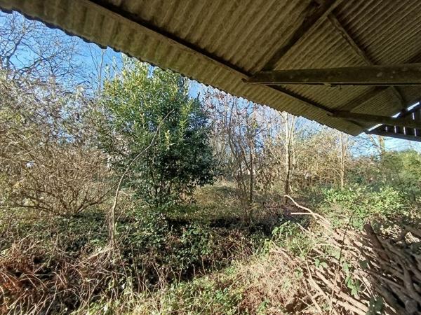 Maison en pierres, grand hangar et terrain