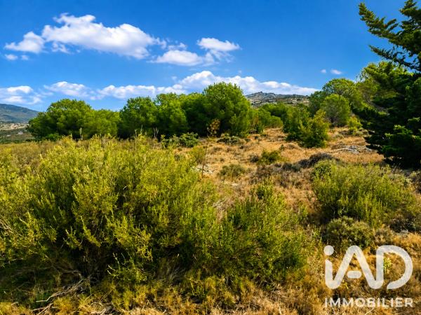 Terrain à vendre 9 885 m² Opoul-Périllos