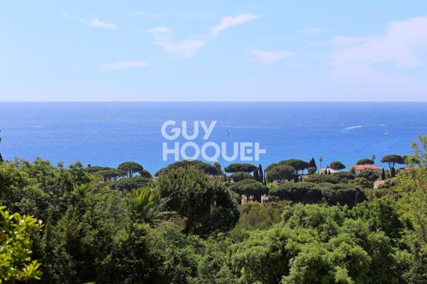 TERRAIN À VENDRE DE 1500,00 M²