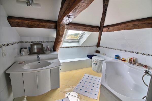 Maison fin XIX ile de france7 pieces jardin remarquable dans PROVINS