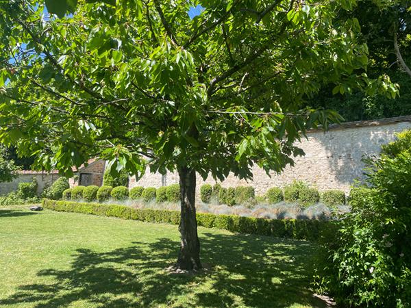 Maison fin XIX ile de france7 pieces jardin remarquable dans PROVINS