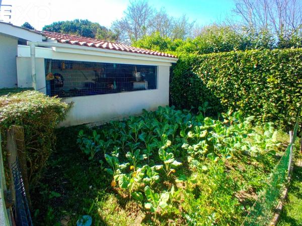 33560-PLAIN-PIED 5 PIECES RÉNOVÉ - VASTE POTENTIEL D'EXTENSION