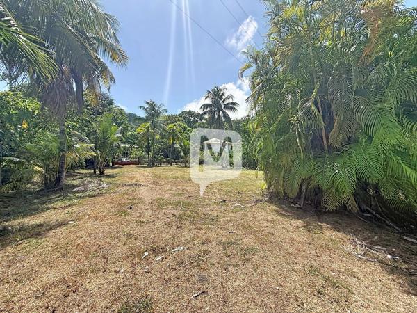 DPT GUYANE, à vendre RÉMIRE-MONTJOLY Maison T5 Pain-pied de 73 m2 sur un terrain de 1 702 m2