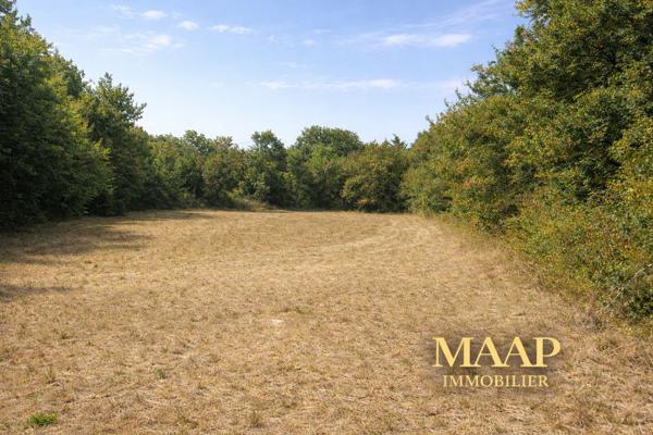 🌿 Chalet bois écologique à terminer sur terrain nature – Projet rare 50 000 €