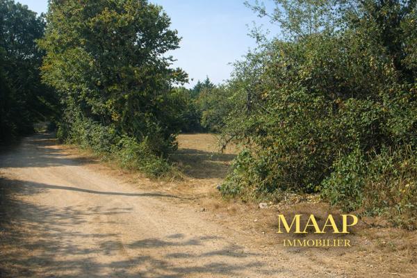 🌿 Chalet bois écologique à terminer sur terrain nature – Projet rare 50 000 €