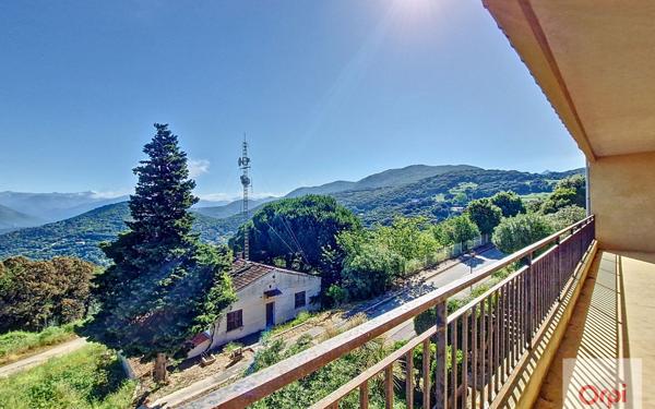 Immeuble à vendre    24 pièces •  Sartène