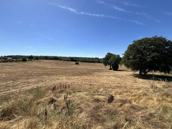 Grange à vendre 77 420 € Ansac-sur-Vienne 1 pièce 184 m² DPE