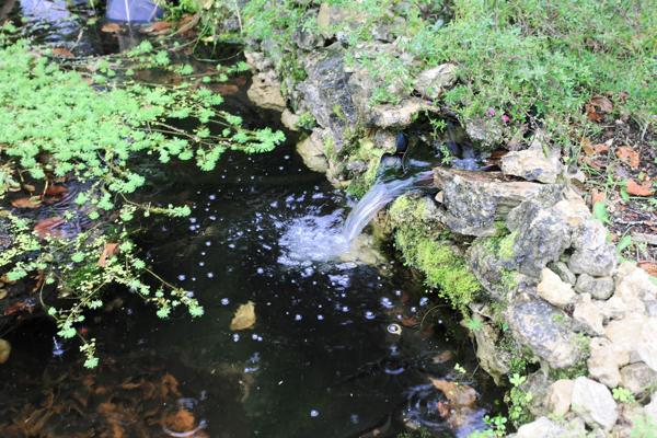 Maison familiale 5 chambres