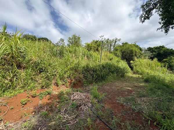 LE FRANCOIS : Terrain de 1 081 m2, Environnement verdoyant et paisible.