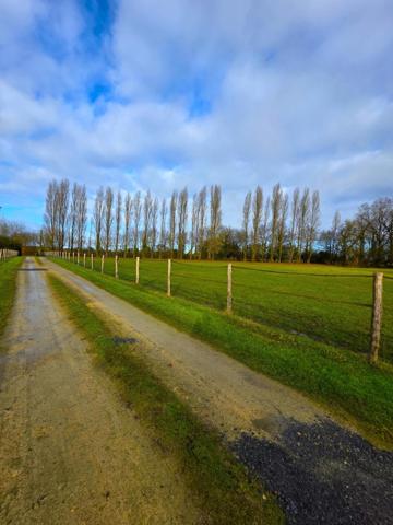 Magnifique longère de charme, ses gites et ses 4Ha de terrain !!