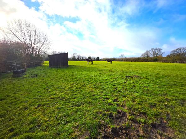 Magnifique longère de charme, ses gites et ses 4Ha de terrain !!