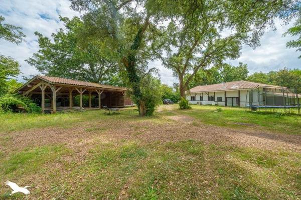 Maison à vendre |  Messanges |  8 pièces | 345 m²