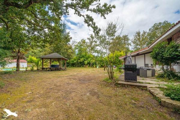 Maison à vendre |  Messanges |  8 pièces | 345 m²