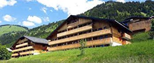 A VENDRE POUR INVESTISSEMENT LMNP EN RESIDENCE DE TOURISME MONTAGNE : Appartement 2 pièces de 29 m2 situé à CHATEL