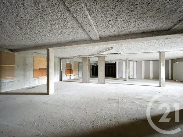 Appartement à vendre  3 pièces - 261,82 m2 BAS EN BASSET - 43