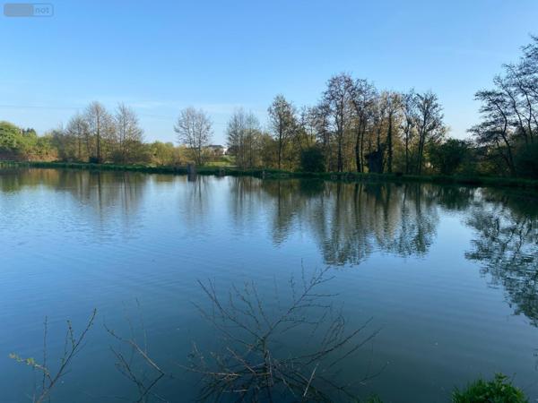 Propriete à vendre à Feignies dans le Nord (59750), ref : A2025 00133