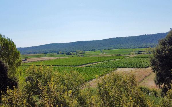 Maison à vendre    6 pièces •  Saint-Mathieu-de-Tréviers