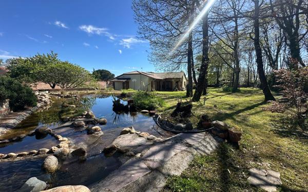 Maison à vendre    5 pièces •  Eaunes