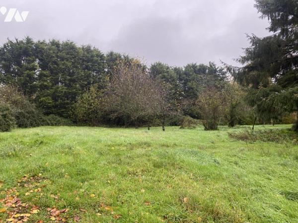Maison avec grand hangar sur terrain de plus de 4000 m².
