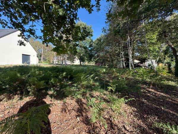 Terrain constructible à vendre  FILLE SUR SARTHE (72)